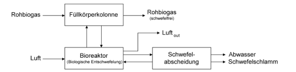 Das Bild zeigt das Flie&szlig;schema eines Biow&auml;schers: Ein Biow&auml;scher besteht aus zwei separaten Kolonnen. Das Biogas durchstr&ouml;mt im Gegenstrom eine F&uuml;llk&ouml;rperkolonne in der das H2S absorbiert wird. Das Absorptionsmedium wird in einem zweiten Bioreaktor regeneriert und teilweise als Abwasser abgef&uuml;hrt werden. Der Schwefel abgeschieden und liegt in Form von Schwefelschlamm vor. 
  
  [IE 2005]
